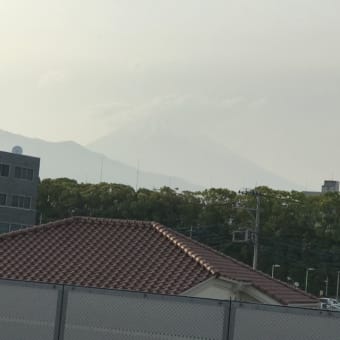 沼津に行ってきました
