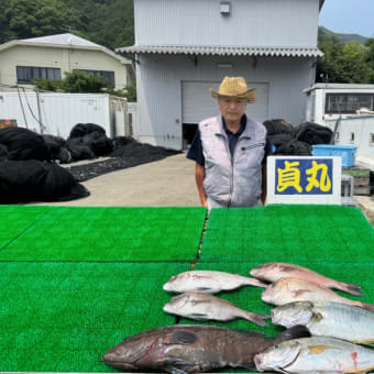 ７月９日 水曜日