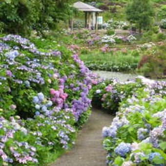 富山でのいろいろ