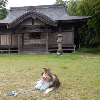 ドライフラワーで作るクラフト