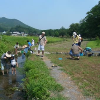小川の生きものさがしと川遊び