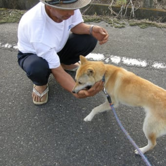 暑かったネ。お父さん！