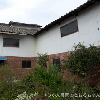 徳島県鳴門市・船本家牧舎（旧富田畜産部牧舎）