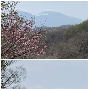 花曇