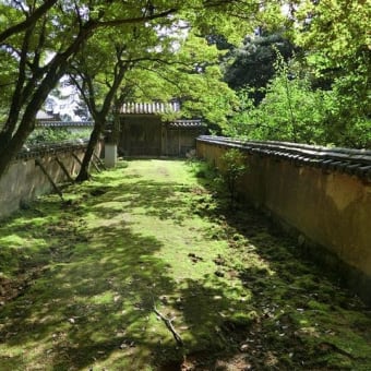（株）葉月社員研修旅行記２日目（姫路編）