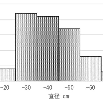 伐採予定木の緊急調査 - 小平の喜平橋 - 茜屋橋間 -