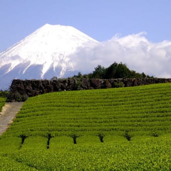 夏も　近付く・・・・・