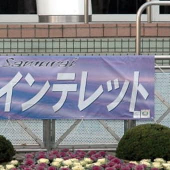 今週の愛馬出走