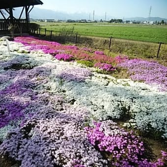 ドライブ