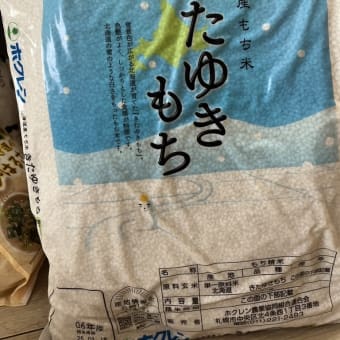 やってしまった💦