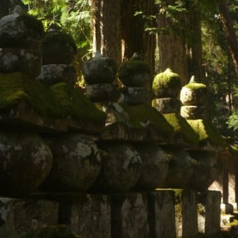 そこそこトラバース～町石道完全踏破～