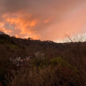山が真っ赤に染まる夕方の風景｜箱根 自然薯の森 山薬