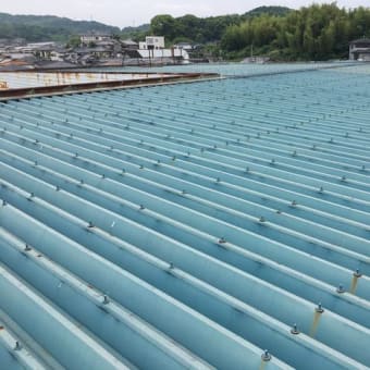 某工場屋根塗り替え工事