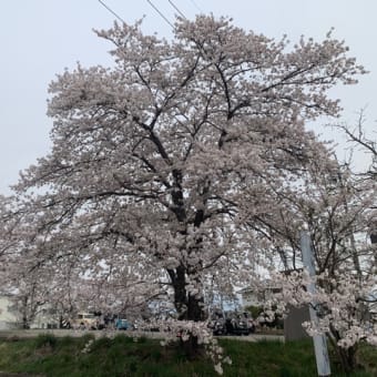 地震