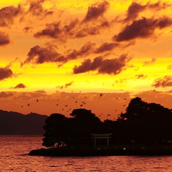 台風一過の夕焼け 