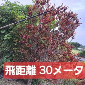  Vol.436 宗家コレクション(9) 吹き矢