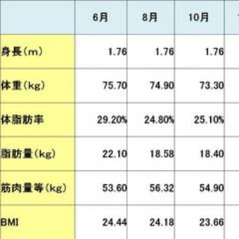 体脂肪率とBMI