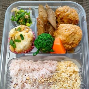 豚肉団子とごぼうの土佐煮