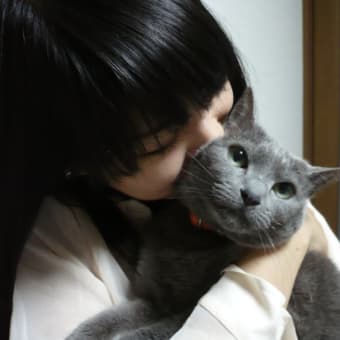 お手、おかわりする猫ベル