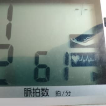 ハッピーバースデー三冬