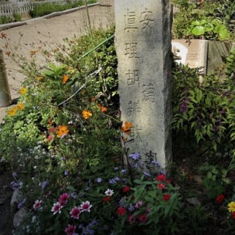 須磨浦公園（４）～安徳宮・モルガンお雪・南洋植物園