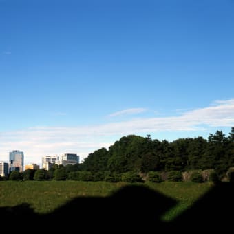 お礼状の作成