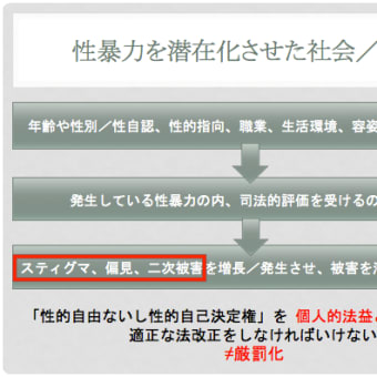 110年ぶりの強姦罪改正。今、私たちが思う事。