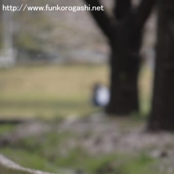 それぞれの道