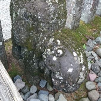 日光の思い出(ほぼ写真のみ)