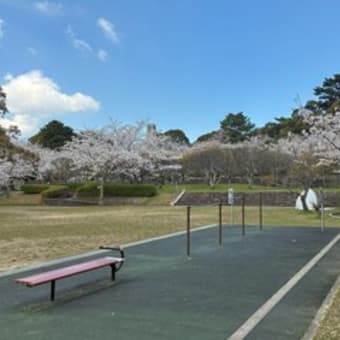 平和公園の桜ー２０２５（北九州市小倉北区）