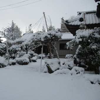 弥生3月に雪が積もりました。