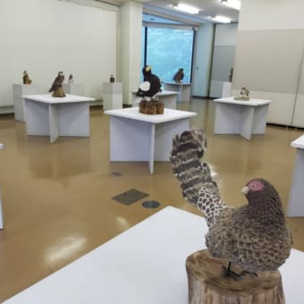 展示会、茨城県植物園展示室
