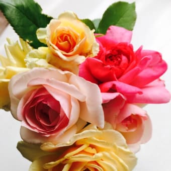 薔薇