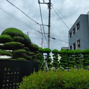 空調服　いよいよ出番です