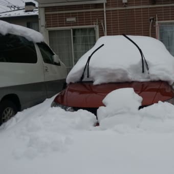 どっちが雪国？