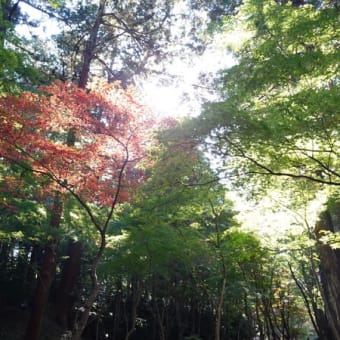 紅葉と見晴らしを求めて森町方面へ