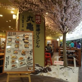 丸亀製麺のうどん