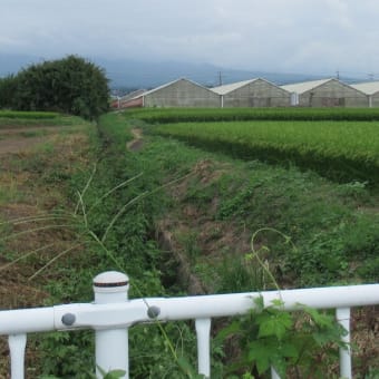 魔住田ヶ淵と女淵城