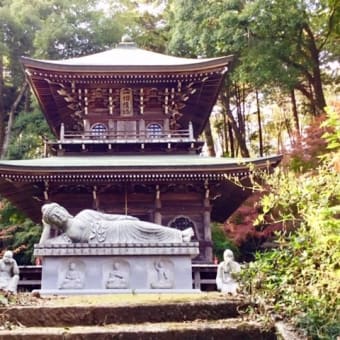 円通寺（益子町）の紅葉