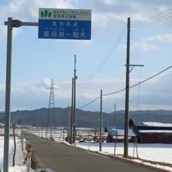 小さい春みっけ！も寒波到来か？