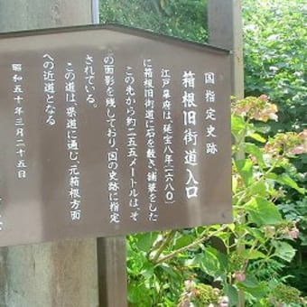 箱根旧街道、石畳現る！
