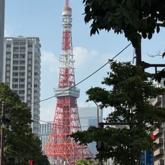 今年度2回目の試験が終了しました‼︎