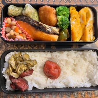 胃カメラ結果