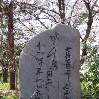 万葉アルバム（奈良）：橿原市中曽司町　磐余神社