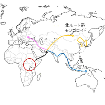 4.日本人のミトコンドリアDNAHg、日本人は北ルート系モンゴロイド