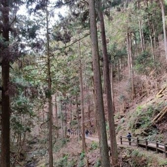 両家との新年会