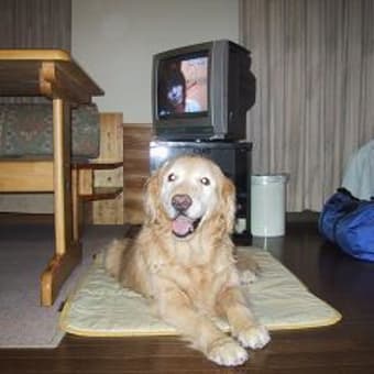 ローリーと旅行２００５