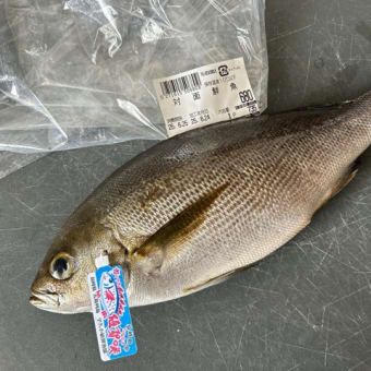 昼ごはん