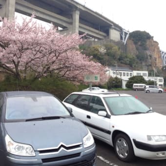 雨ですがやりまーす。