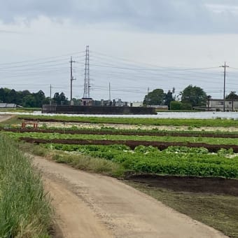 昔ながらの細い道